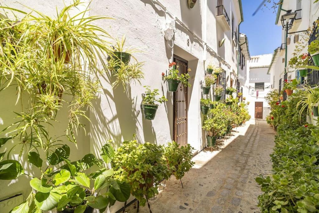 Casa Con Patio Y Terraza En Barrio Historico De La Villa, Junto Al Adarve Priego de Córdoba Buitenkant foto