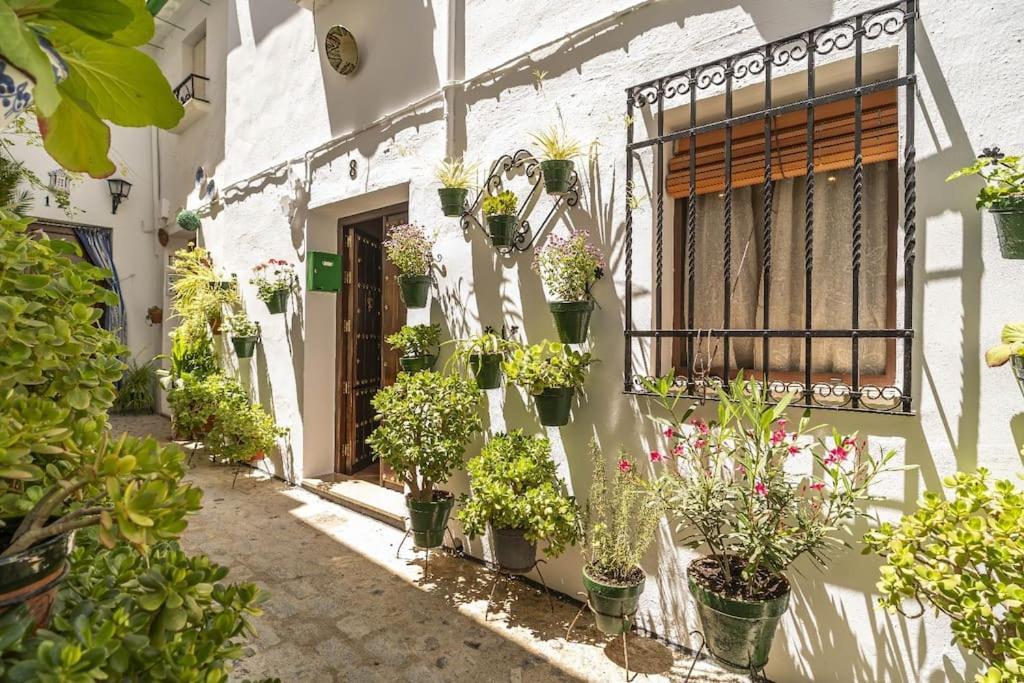 Casa Con Patio Y Terraza En Barrio Historico De La Villa, Junto Al Adarve Priego de Córdoba Buitenkant foto